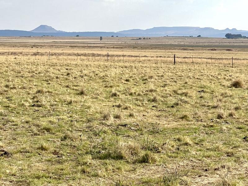 0 Bedroom Property for Sale in Senekal Free State